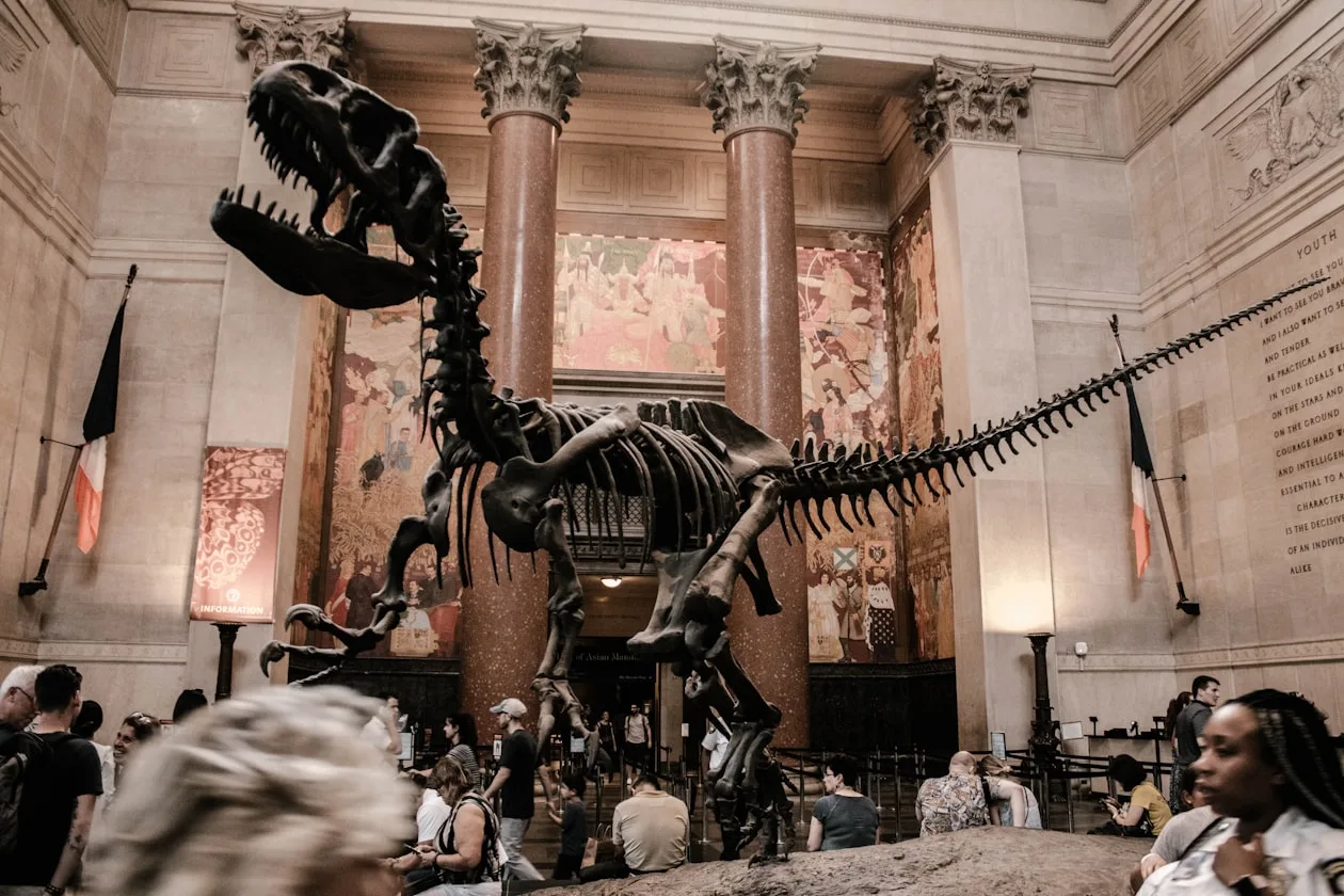 Is the American Museum of Natural History Free? (2026 NYC Guide)