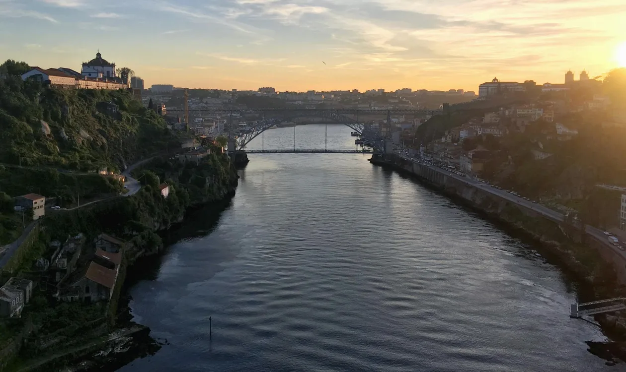 Best Porto Wine Tours in 2026: A Local's Pick