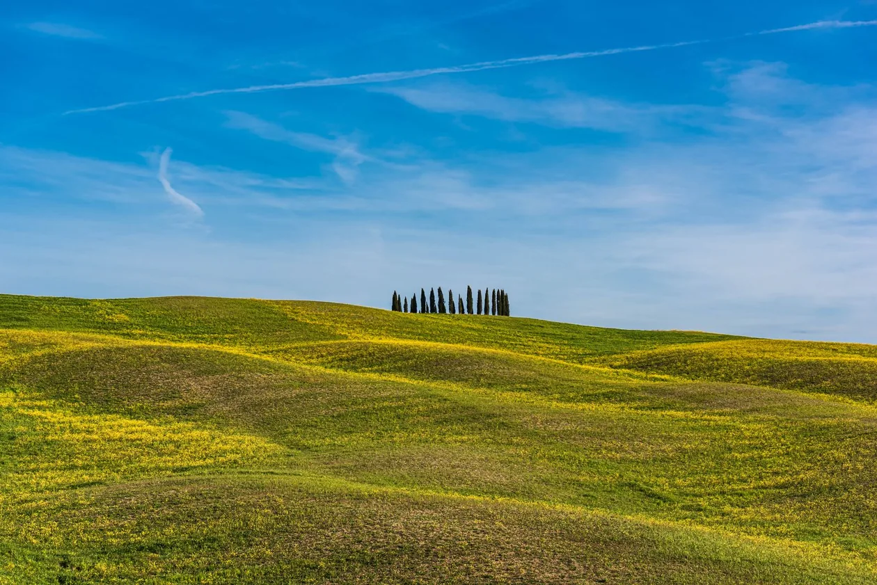 Chianti Day Trip from Florence 2026: How to Plan It