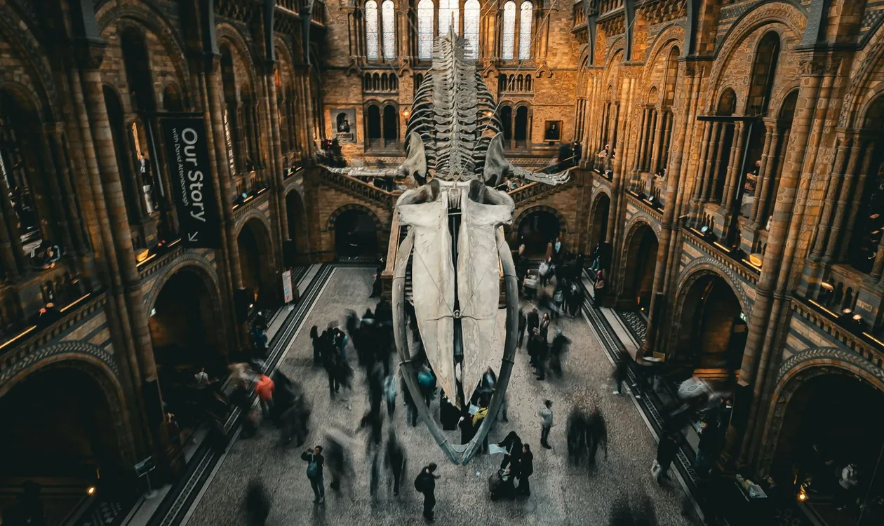 Natural History Museum London 2026: Free Entry + What to See