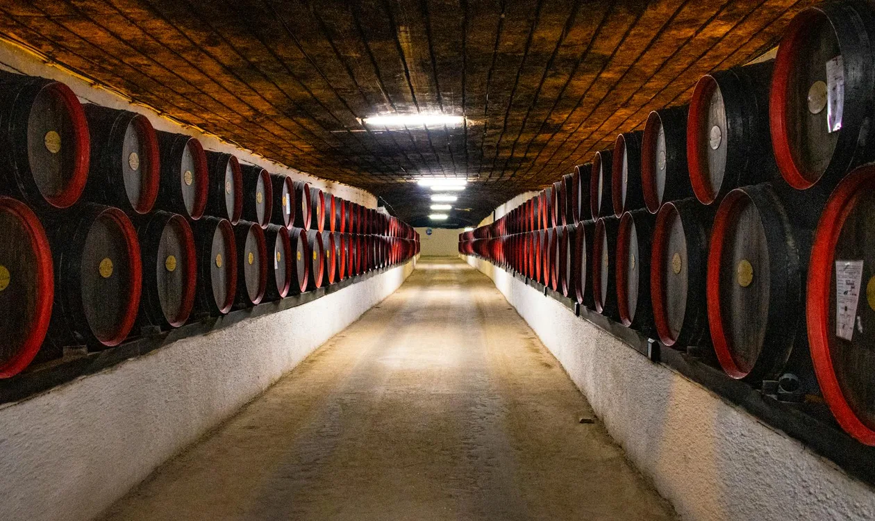 Vila Nova de Gaia Cellars: Which One to Visit (2026)